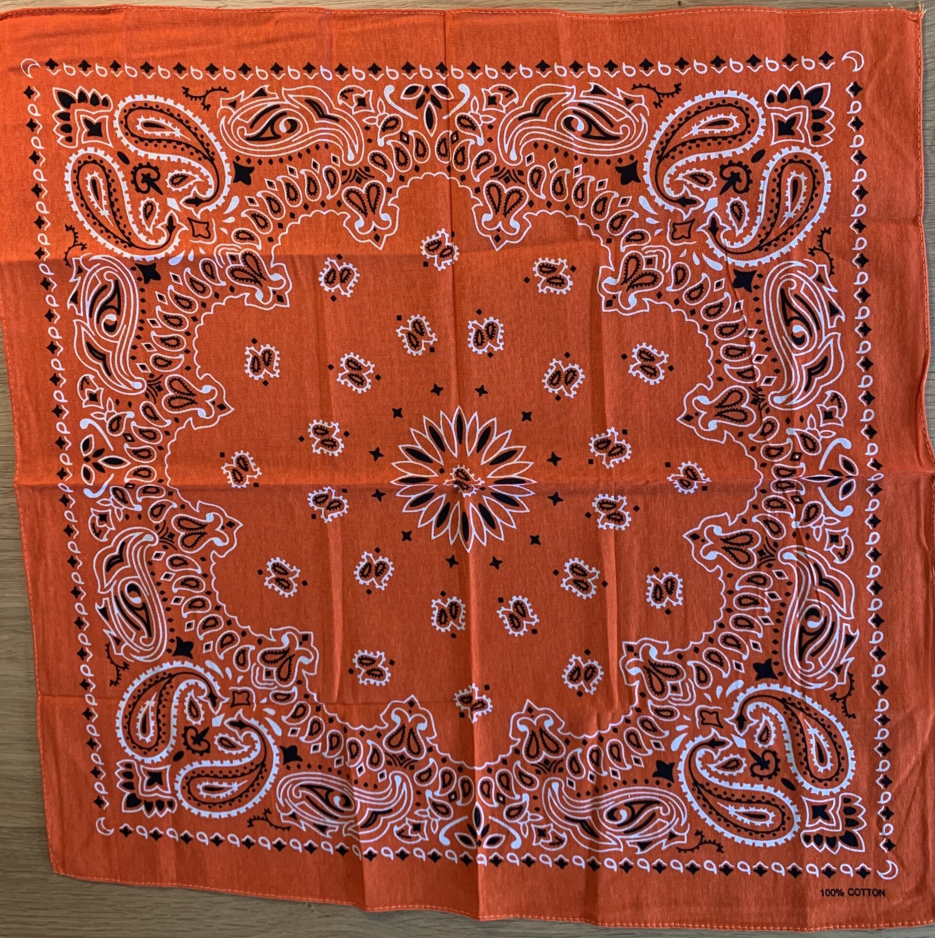 Pañuelo Bandana - 2