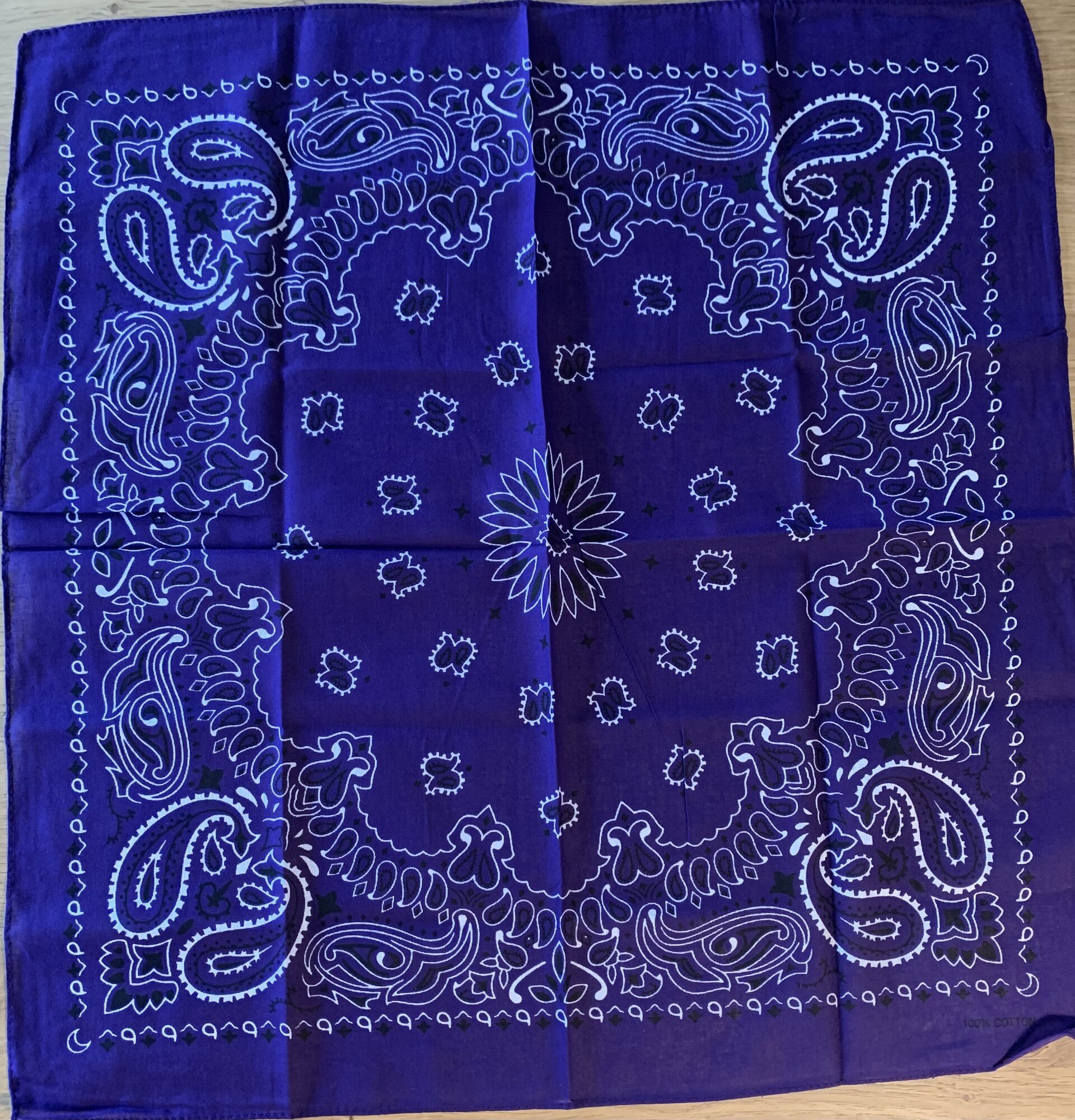 Pañuelo Bandana - 1